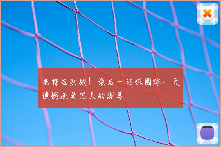 老将告别战!最后一记弧圈球,是遗憾还是完美的谢幕