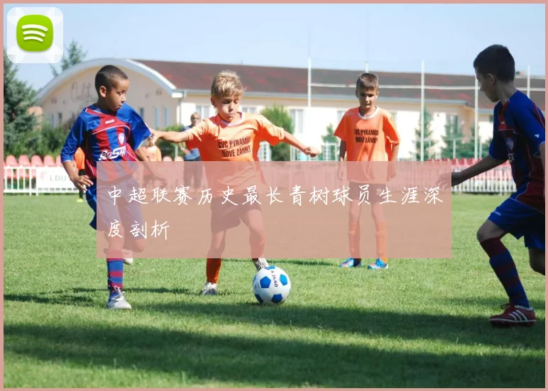 中超联赛历史最长青树球员生涯深度剖析