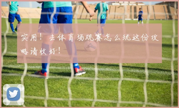 实用!去体育场观赛怎么玩这份攻略请收好!