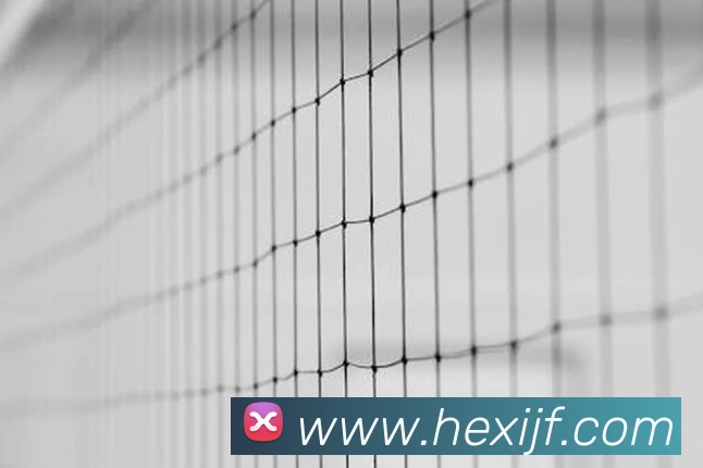 电竞内容频道